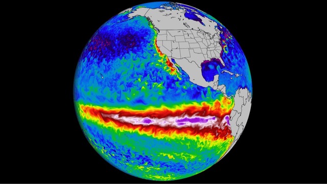 NASA satellite data captures a massive swell of warm water (indicated by the vivid crimson band) expanding hundreds of miles across the equatorial Pacific Ocean.