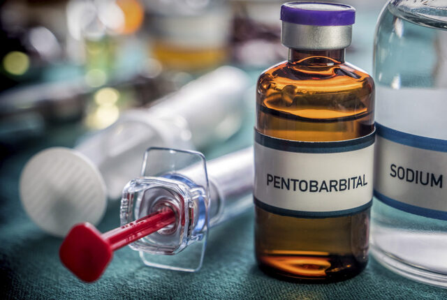 Once the legal stays were dissolved, the state administered a high-dose injection of pentobarbital—a powerful barbiturate designed to induce a rapid coma before stopping the heart