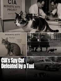 During the Cold War, the CIA launched one of its strangest espionage  experiments: turning a cat into a surveillance device. The program, called  Project Acoustic Kitty, began in the 1960s. Engineers surgically