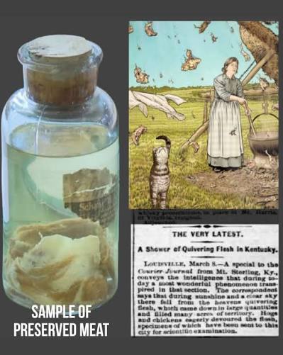 Kentucky meat shower mystery remains unsolved
