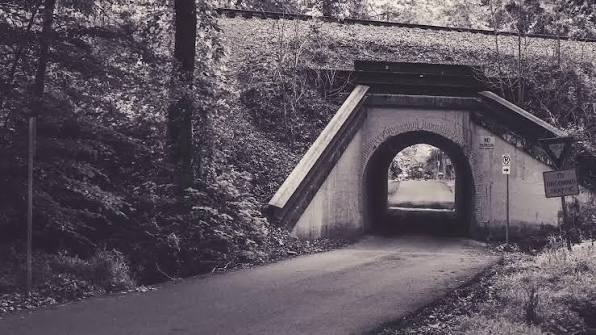 🆕 📢 Discover the true story of Virginia's Bunny Man legend. Two documented 1970 incidents on Guinea Road in Fairfax County created one of the most enduring urban legends. Learn what really happened.