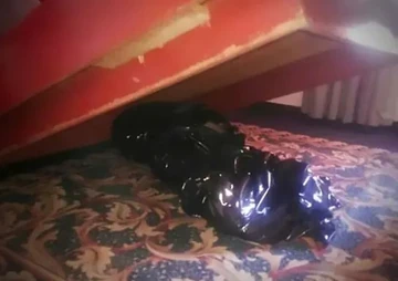 Bodies Found Under Beds | Urban Legends Wiki | Fandom