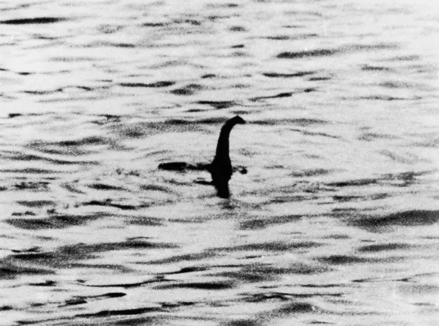 Loch Ness Monster: how eDNA helps us discover what lurks beneath - BBC Science Focus Magazine