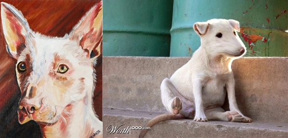 Mexican Pet | Cryptid Wiki | Fandom
